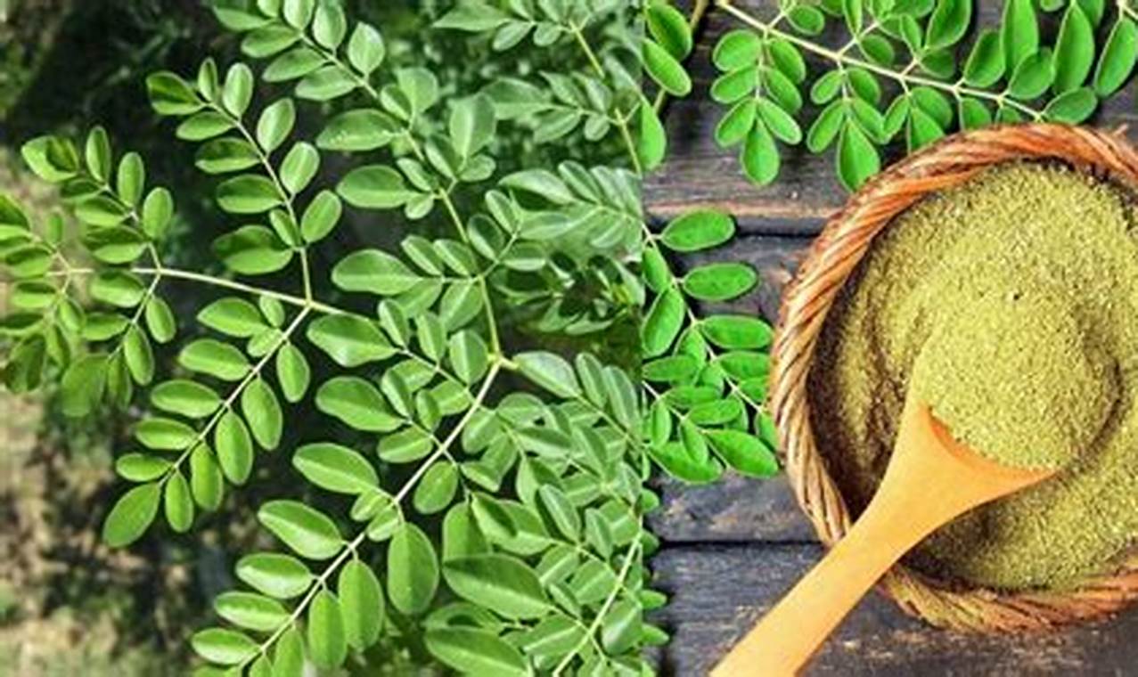 Manfaat Daun Kelor yang Jarang Diketahui untuk Ibu Hamil